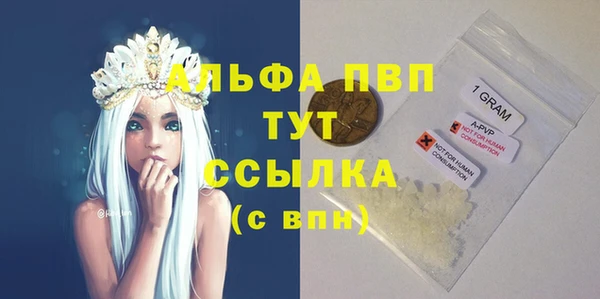 молекула духа Алексин
